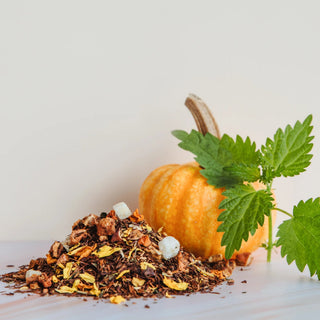 Creamy Pumpkin