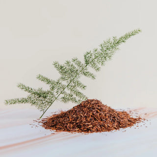 Ruby Rooibos